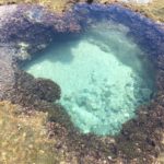 【伊達 将人 10/17 奄美大島にてセミナー決定】